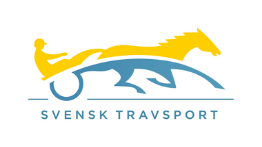 Missle Hill Ein Typ Fur Den Elitloppet Trabrennsport Aus Aller Welt Info Stall Mein Trabrennsport De